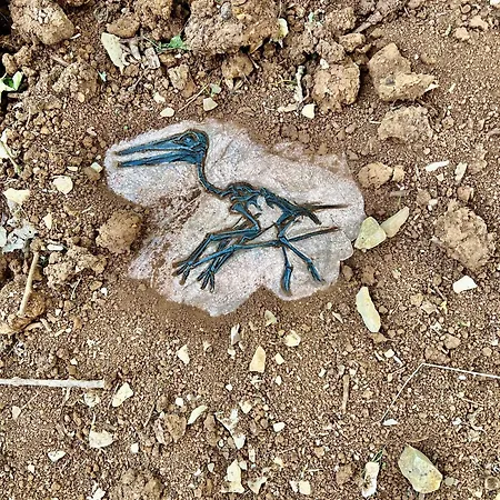 La Perchee Jurassic